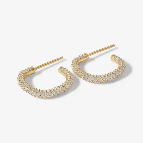 Hass hoop earrings